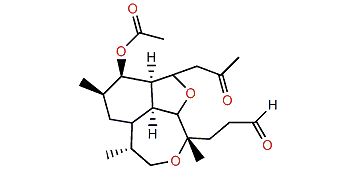 seco-Asbestinin B